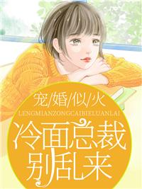 霍靳西慕淺封面