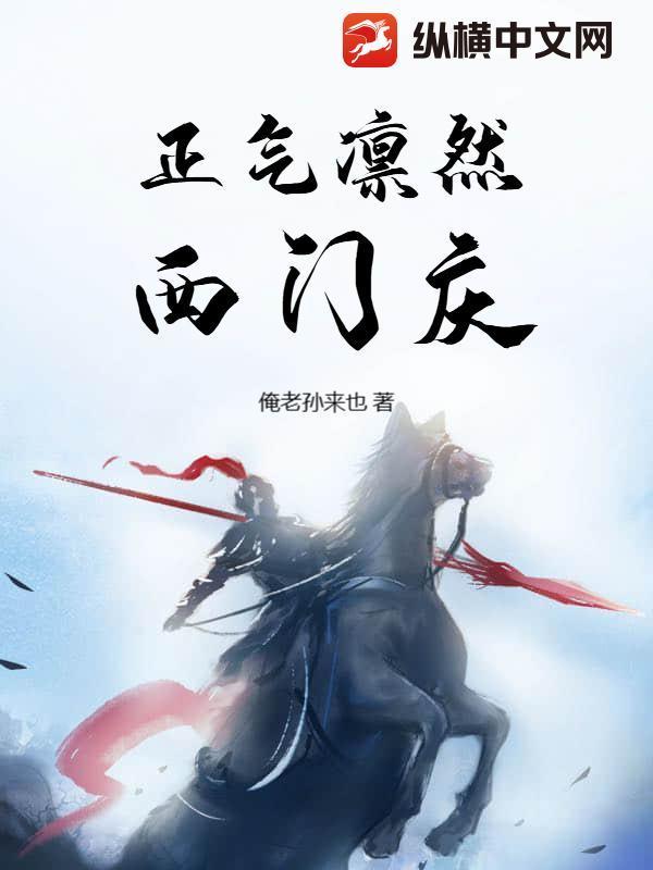 正氣凜然西門(mén)慶封面