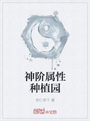 羅峰顧雪念小說免費閱讀封面